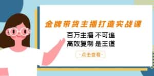 金牌带货主播打造实战课:百万主播 不可追,高效复制 是王道(10节课)-优优云创网