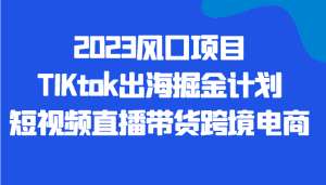2023风口项目TIKtok出海掘金计划短视频直播带货跨境电商-优优云创网