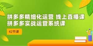2023年8月新课-拼多多精细化运营 线上直播课：拼多多实战运营系统课-42节-优优云创网