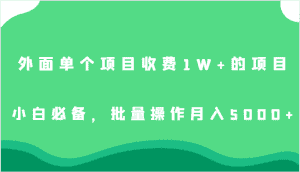 外面单个项目收费1W+的项目，小白必备，批量操作月入5000+-优优云创网