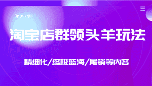 淘宝店群领头羊玩法，精细化/终极蓝海/尾销等内容（第10-12期）-优优云创网