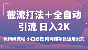 截流打法+全自动引流 日入2K 保姆级教程 小白必做 附网赚项目通用公式-优优云创网