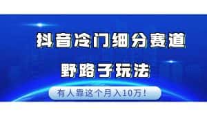 抖音冷门细分赛道野路子玩法,有人靠这个月入10万-优优云创网