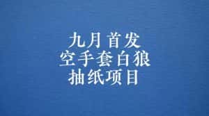 0成本，日入100-500空手套白狼抽纸项目，保姆级教学-优优云创网