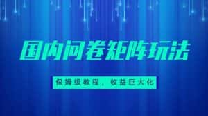 保姆级教程,国内问卷矩阵玩法,轻松赚收益-优优云创网