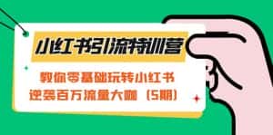 小红书引流特训营-第5期：教你零基础玩转小红书，逆袭百万流量大咖-优优云创网