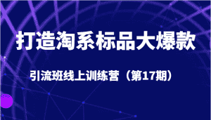 打造淘系标品大爆款引流班线上训练营(第17期)5天直播授课+1个月答疑-优优云创网