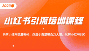 小红书引流培训课程，教你零基础玩转小红书，素人逆袭百万流量大咖！-优优云创网