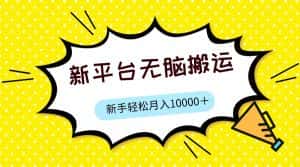 新平台用软件无脑搬运，月赚10000+，小白也能轻松上手-优优云创网