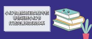 小红书虚拟项目实战专栏,带你玩转小红书,打造完善的变现体系-优优云创网