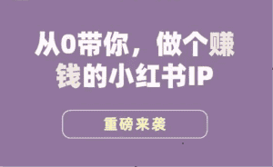 小红书运营大宝典,从0带你做个赚钱的小红书IP-优优云创网