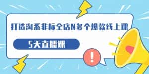 打造-淘系-非标全店N多个爆款线上课，5天直播课（19期）-优优云创网
