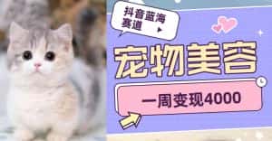抖音蓝海赛道,宠物美容,一周变现4000-优优云创网
