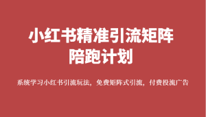 小红书精准引流矩阵陪跑计划,系统学习小红书引流玩法,免费矩阵式引流,付费投流广告-优优云创网