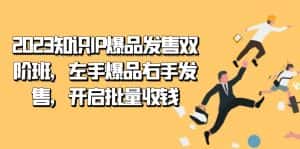2023知识IP-爆品发售双阶班，左手爆品右手发售，开启批量收钱-优优云创网