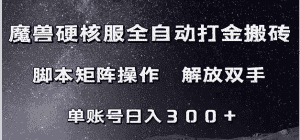 魔兽硬核服自动打金搬砖,脚本矩阵操作,单账号300+ (附教程+脚本)-优优云创网
