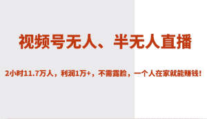 视频号无人、半无人直播2小时11.7万人,利润1万+,不需露脸,一个人在家就能赚钱!-优优云创网