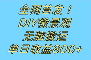 全网首发冷门赛道!DIY微景观,无脑搬运视频,日收益800+-优优云创网