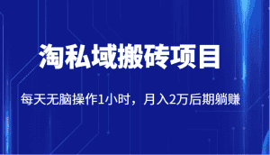 价值2980的淘私域搬砖项目,每天无脑操作1小时,月入2万后期躺赚-优优云创网