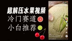 冷门赛道水果解压视频,方法自创,单日变现1000加,简单复制操作,小白必入-优优云创网