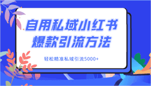 自用私域小红书爆款引流方法，轻松精准私域引流5000+-优优云创网