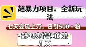 超暴利项目,全新玩法(辞职卖情趣的第几天),七天变现上万,日引500+粉-优优云创网