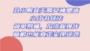 丑小鸭变天鹅女神塑造小红书玩法，简单易懂，按流程操作，草根也能真正实现逆袭-优优云创网