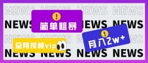 简单粗暴零成本,高回报,全网视频VIP掘金项目,月入2万+-优优云创网