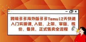 跨境多多海外版多多Temu12天快速入门实战课，从入驻 上架到正式售卖全流程-优优云创网