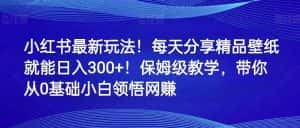 小红书最新玩法!每天分享精品壁纸就能日入300+!保姆级教学,带你从0领悟网赚-优优云创网