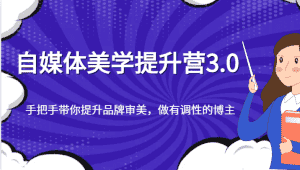 自媒体美学提升营3.0,手把手带你提升品牌审美,做有调性的博主-优优云创网