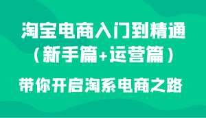 淘宝电商入门到精通(新手篇+运营篇)带你开启淘系电商之路-优优云创网