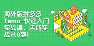 外版拼多多Temu-快速入门实战课,店铺实战从0到1(12节课)-优优云创网