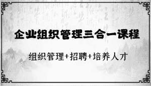企业组织管理三合一课程:组织管理+招聘+培养人才-优优云创网