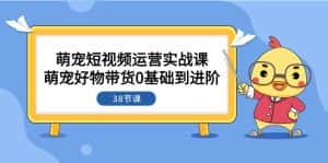 萌宠·短视频运营实战课:萌宠好物带货0基础到进阶(38节课)-优优云创网