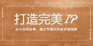 打造完美IP:从小白到女神,建立专属你的金字塔招牌(15节课)-优优云创网