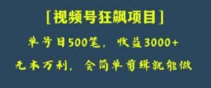 日收款500笔，纯利润3000+，视频号狂飙项目！-优优云创网