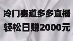 冷门赛道拼多多直播项目，简单念稿子，日收益2000＋-优优云创网