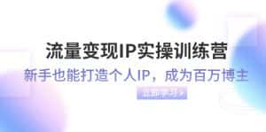 流量变现IP实操训练营:新手也能打造个人IP,成为百万 博主(46节课)-优优云创网