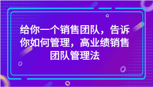 给你一个销售团队,告诉你如何管理,高业绩销售团队管理法(89节课)-优优云创网