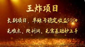 王炸项目！单账号稳定收益300+，适合长期操作的副业兼职。-优优云创网