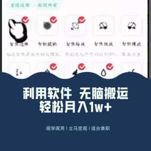 最新蓝海独家玩法,利用软件无脑搬运,小白轻松日入1000+-优优云创网