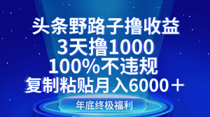 头条野路子撸收益，3天撸1000，100%不违规，复制粘贴月入6000＋-优优云创网