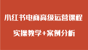 小红书电商高级运营课程 实操教学+案例分析-优优云创网