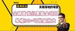 全网首发红果掘金项目,简单操作单机30+可批量放大-优优云创网