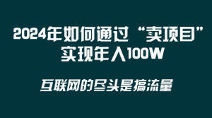 2024年如何通过“卖项目”实现年入100W-优优云创网