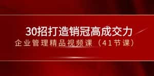 30招打造销冠高成交力-企业管理精品视频课（41节课）-优优云创网