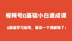 视频号0基础小白速成课,0基础学习起号,看这一个课就够了!-优优云创网