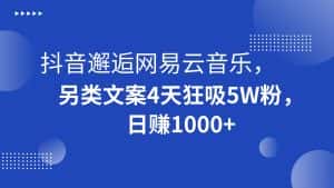 抖音邂逅网易云音乐，另类文案4天狂吸5W粉，日赚1000+-优优云创网