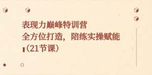 表现力巅峰特训营,全方位打造,陪练实操赋能(21节课)-优优云创网